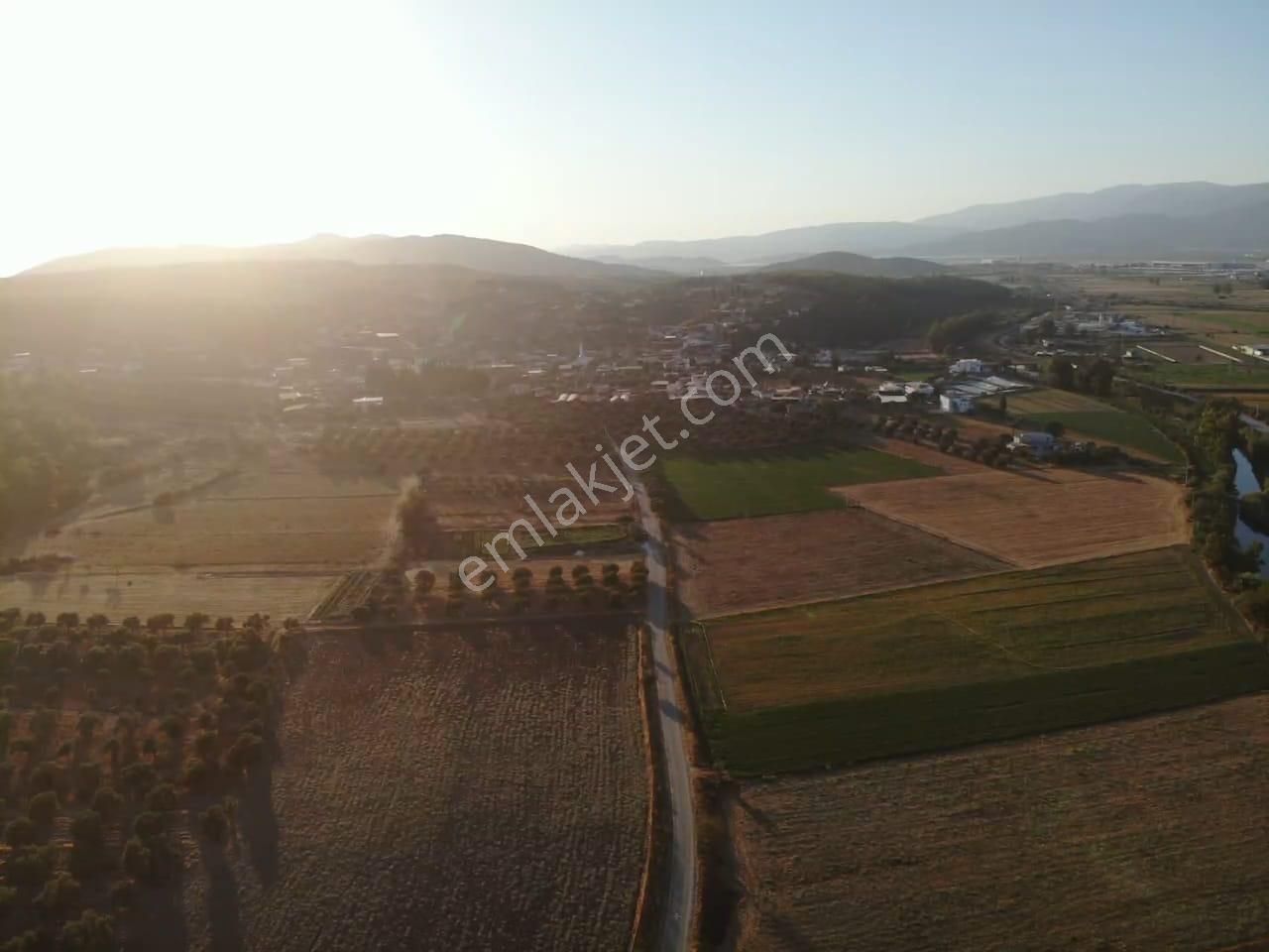 Milas Akyol'da- Resmi Elektrik / Su İçinde - 105m Resmi Yol Cepheli - 10.415 M2 Satılık Kupon Tarla - Görsel 20