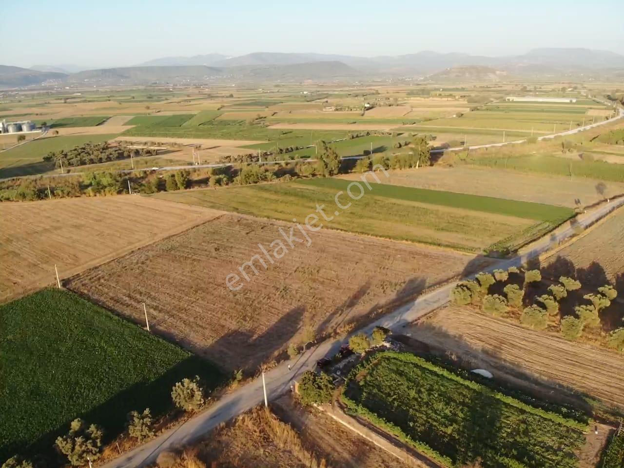 Milas Akyol'da- Resmi Elektrik / Su İçinde - 105m Resmi Yol Cepheli - 10.415 M2 Satılık Kupon Tarla - Görsel 12