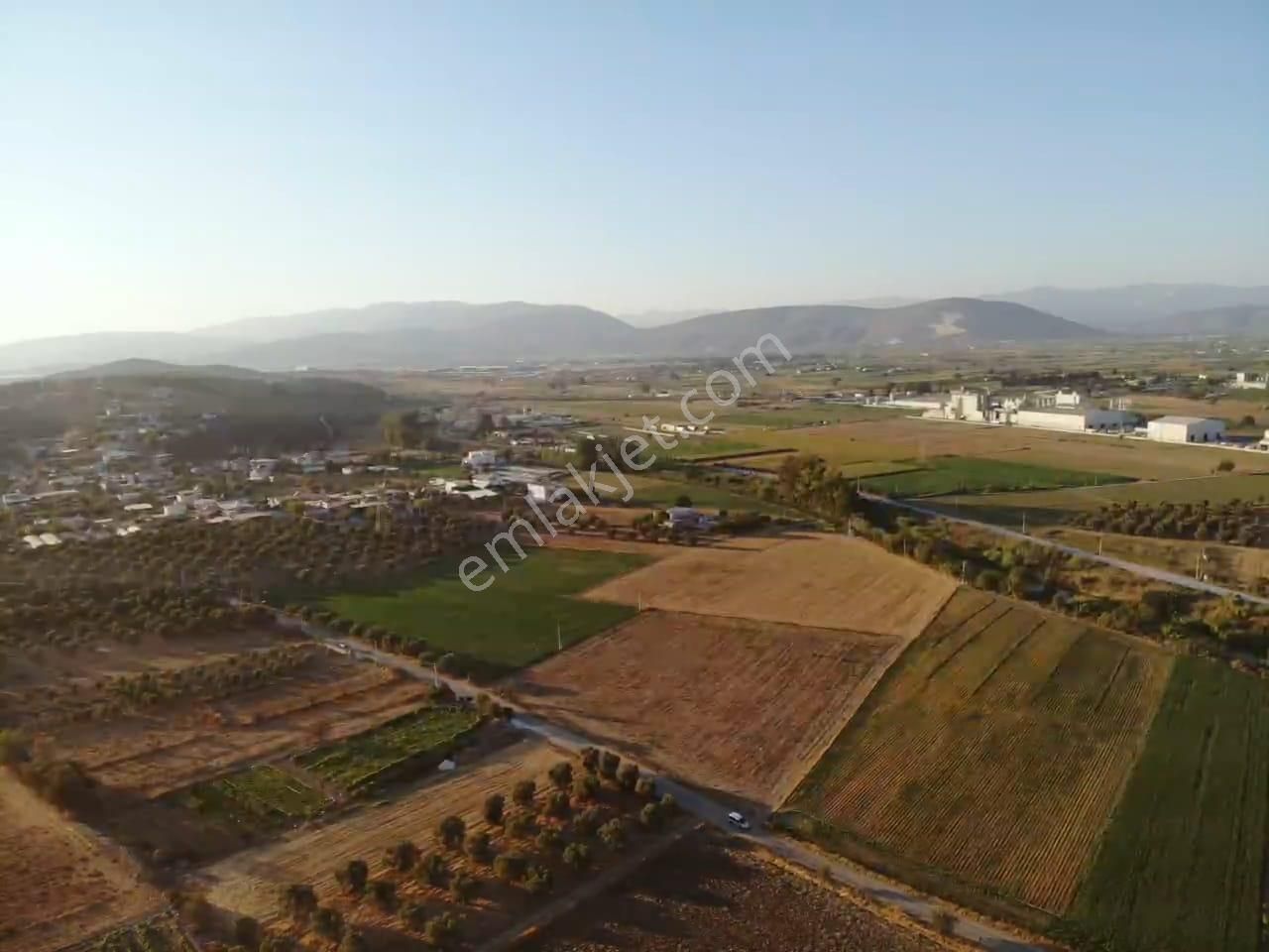 Milas Akyol'da- Resmi Elektrik / Su İçinde - 105m Resmi Yol Cepheli - 10.415 M2 Satılık Kupon Tarla - Görsel 16
