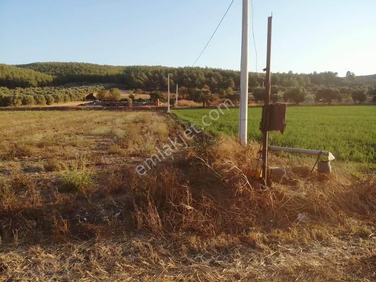 Milas Akyol'da- Resmi Elektrik / Su İçinde - 105m Resmi Yol Cepheli - 10.415 M2 Satılık Kupon Tarla - Görsel 25