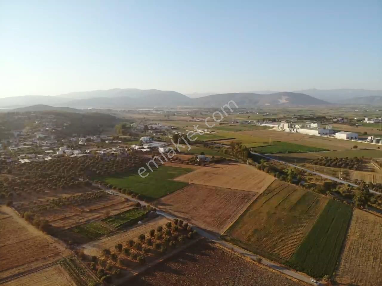 Milas Akyol'da- Resmi Elektrik / Su İçinde - 105m Resmi Yol Cepheli - 10.415 M2 Satılık Kupon Tarla - Görsel 8