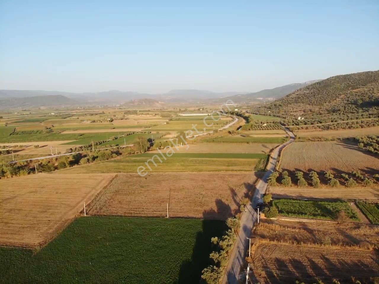 Milas Akyol'da- Resmi Elektrik / Su İçinde - 105m Resmi Yol Cepheli - 10.415 M2 Satılık Kupon Tarla - Görsel 19