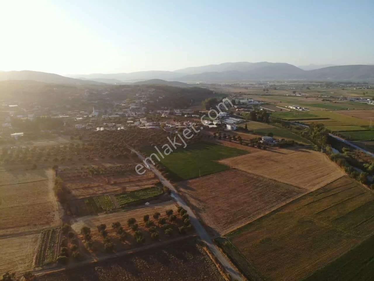 Milas Akyol'da- Resmi Elektrik / Su İçinde - 105m Resmi Yol Cepheli - 10.415 M2 Satılık Kupon Tarla - Görsel 23