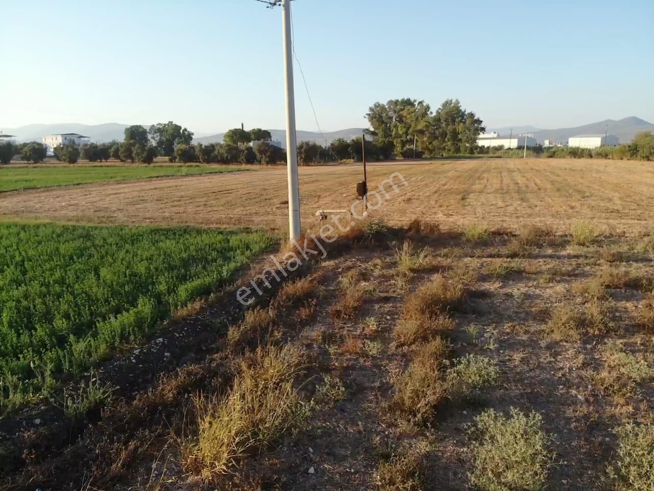 Milas Akyol'da- Resmi Elektrik / Su İçinde - 105m Resmi Yol Cepheli - 10.415 M2 Satılık Kupon Tarla - Görsel 31