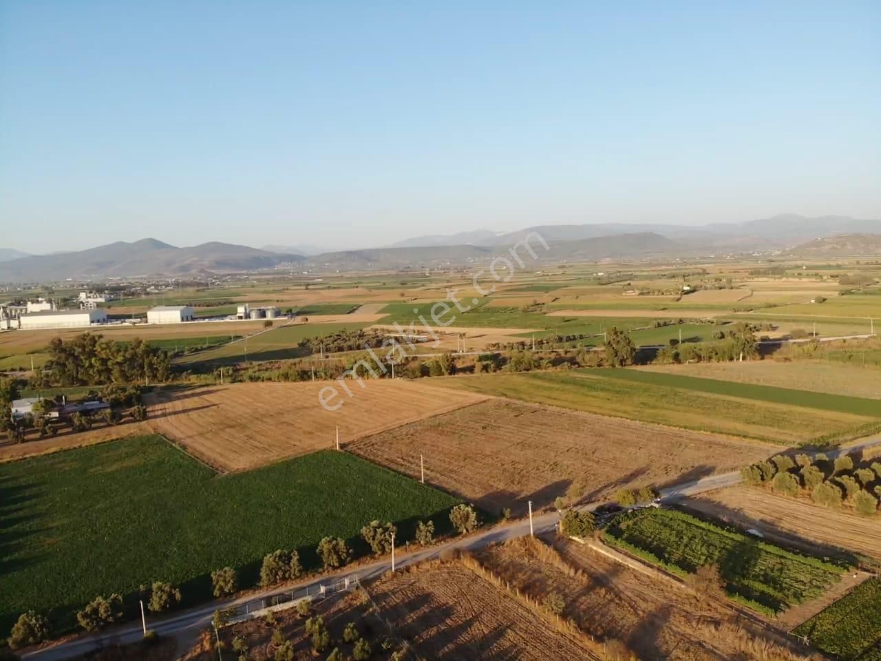 Milas Akyol'da- Resmi Elektrik / Su İçinde - 105m Resmi Yol Cepheli - 10.415 M2 Satılık Kupon Tarla - Görsel 18