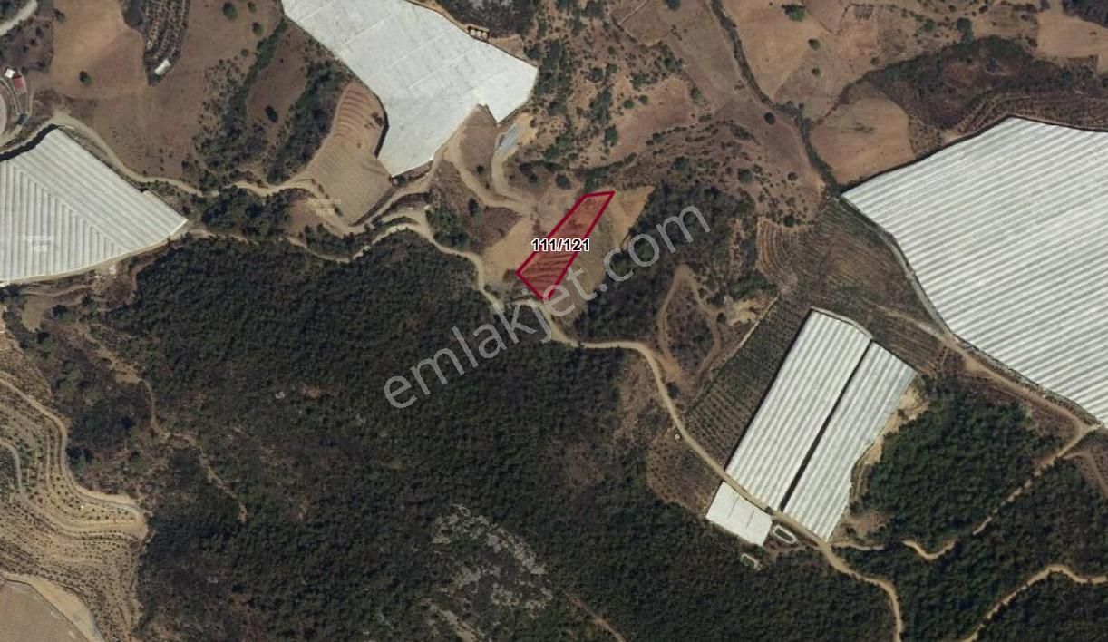 Alanya İmamlı Köyünde Satılık Tarla 2588m2