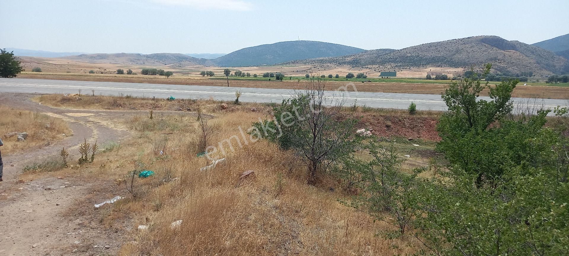 Zile-alaca-ankara Yoluna Cepheli Yatırımlık Arsa - Görsel 5