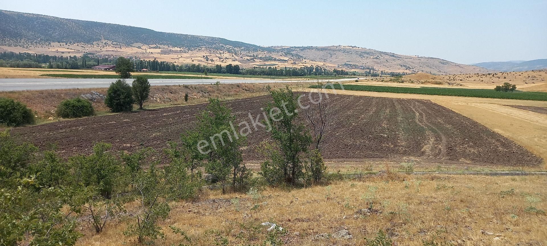 Zile-alaca-ankara Yoluna Cepheli Yatırımlık Arsa - Görsel 3