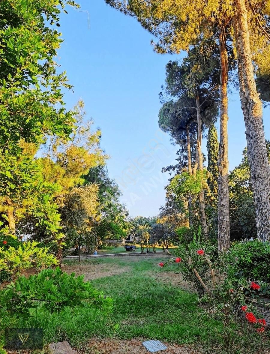 Tekirova Da Plaja 50 M Villa - Görsel 14
