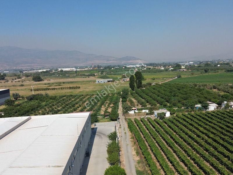 İzmir Menemen Merkez'de Satılık Tarla - Görsel 2