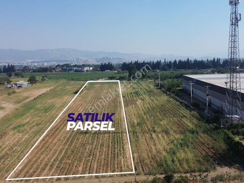 İzmir Menemen Merkez'de Satılık Tarla - Görsel 4