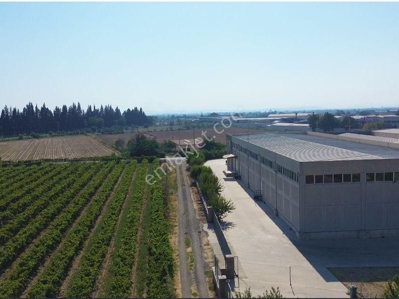 İzmir Menemen Merkez'de Satılık Tarla - Görsel 10