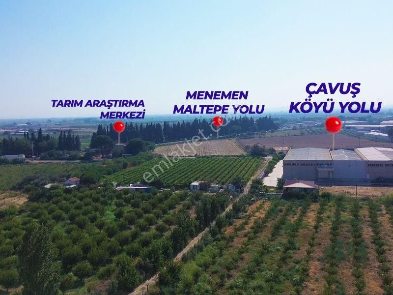 İzmir Menemen Merkez'de Satılık Tarla - Görsel 9