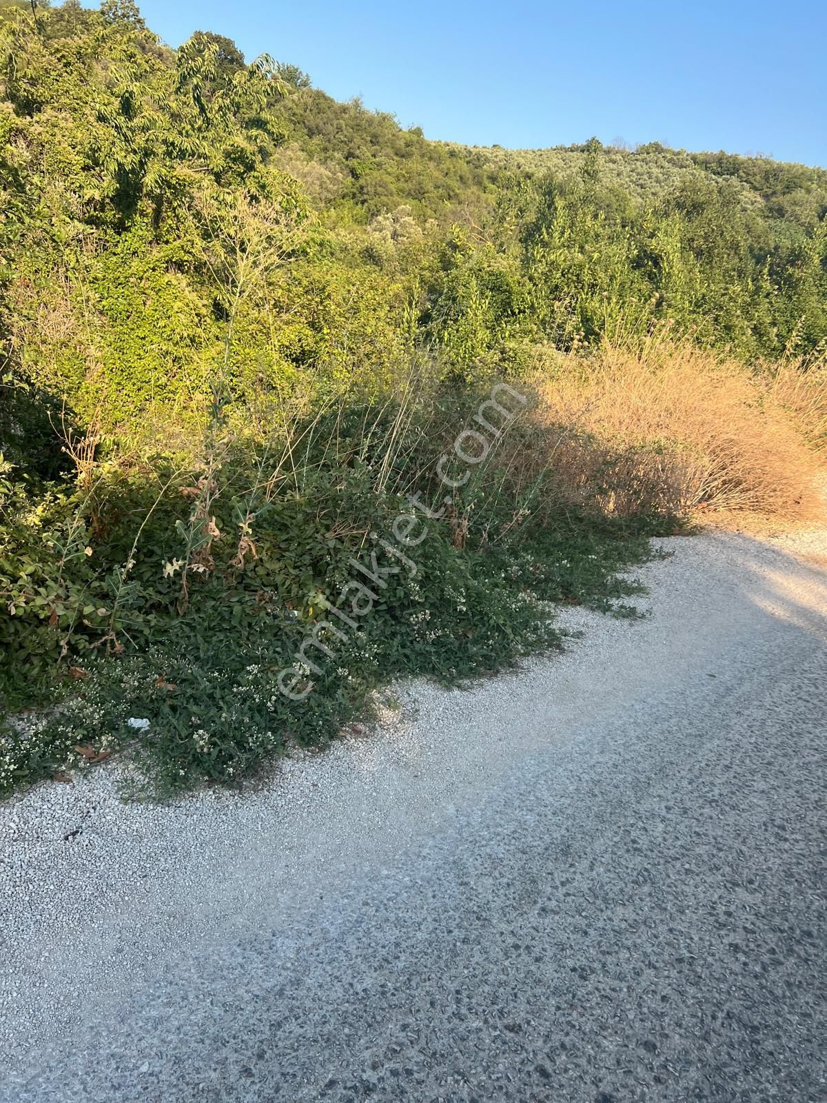 Bursa Mudanya Eşkel Satılık Tarla1300m2 - Görsel 7