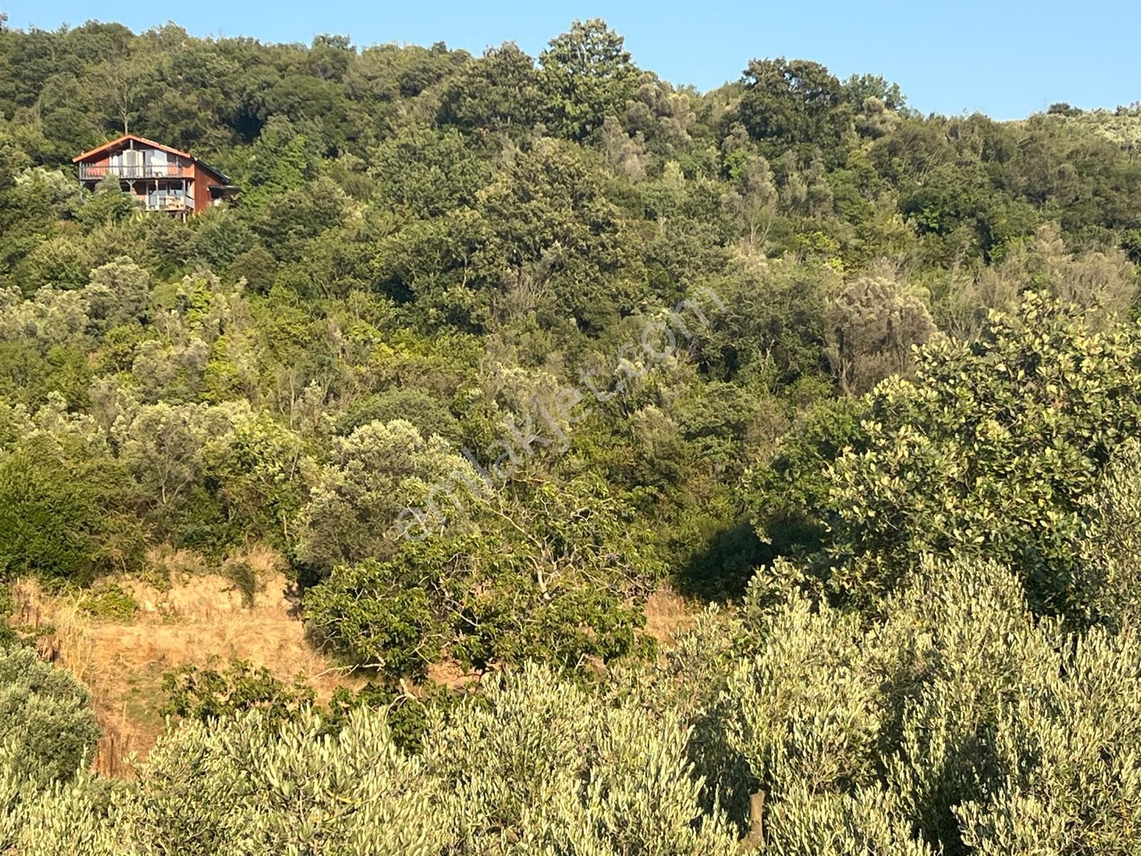 Bursa Mudanya Eşkel Satılık Tarla1300m2 - Görsel 6