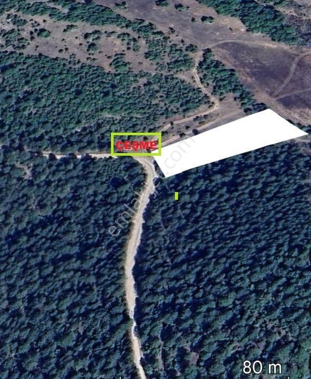 Çok Acil Bursa Keles Hereke Mah Asfalt Yanı Takaslı Fırsat Tarla