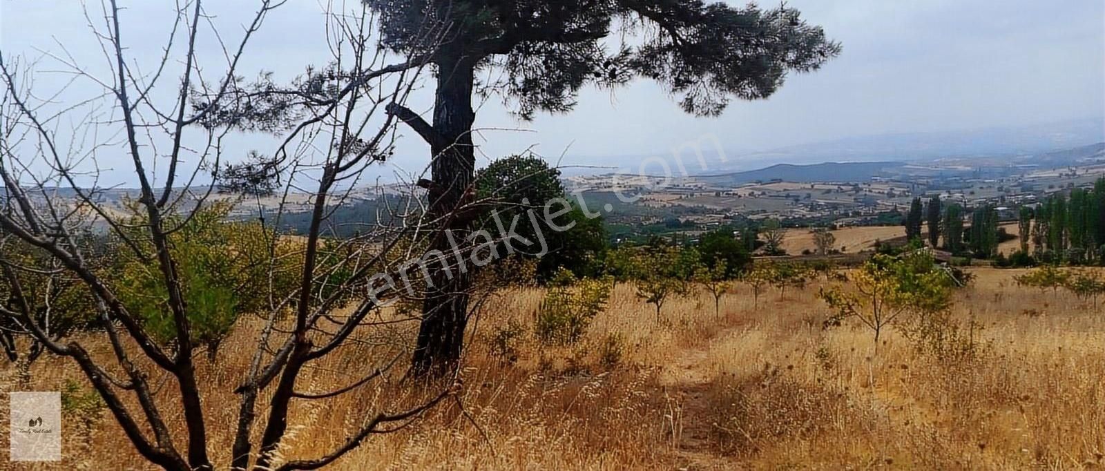 Yenişehir'de Kavaklı Köyde Satılık Tarla Ve Bahçe