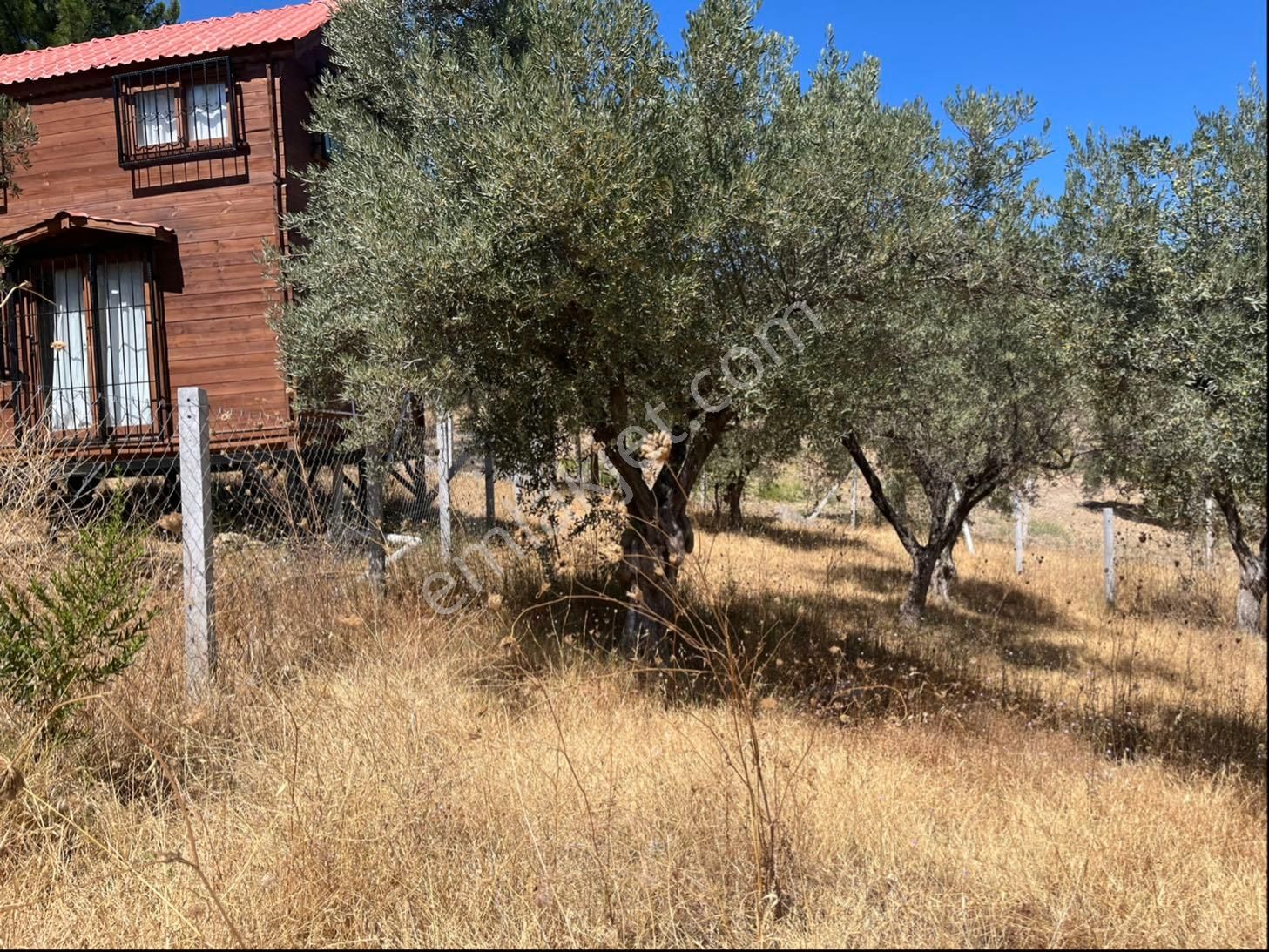 Torbalı Bozköy Mah 205mt2 Ata Mirasından Tarla Ve Zeytinlik - Görsel 12