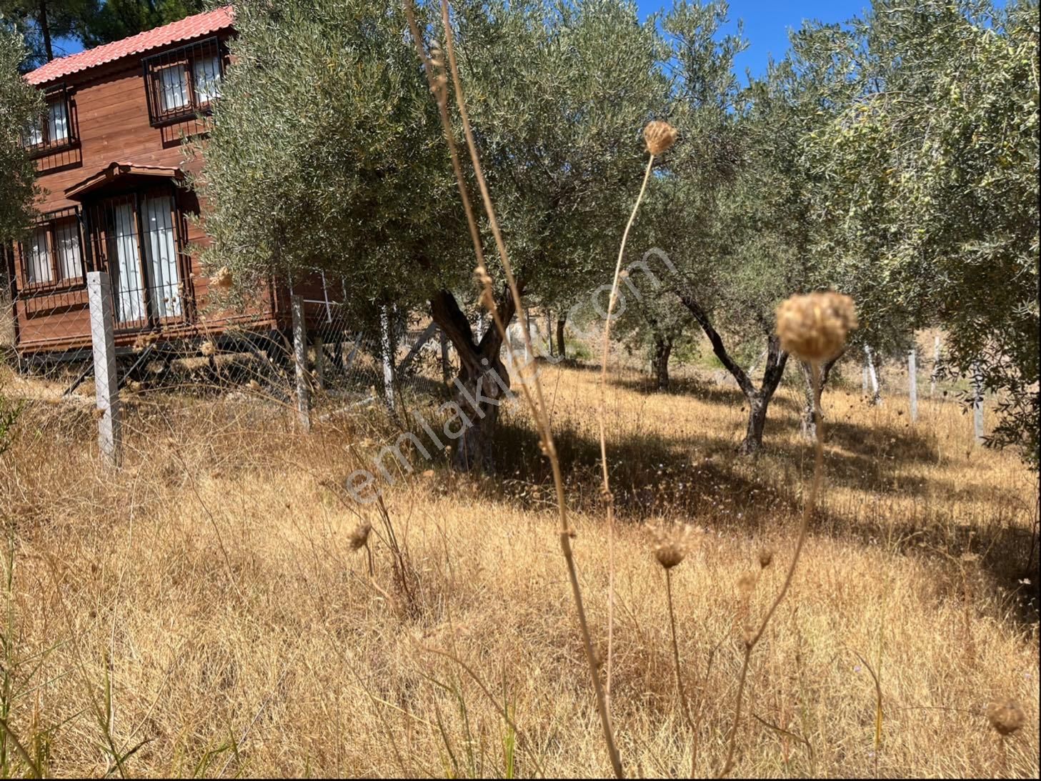 Torbalı Bozköy Mah 205mt2 Ata Mirasından Tarla Ve Zeytinlik - Görsel 19