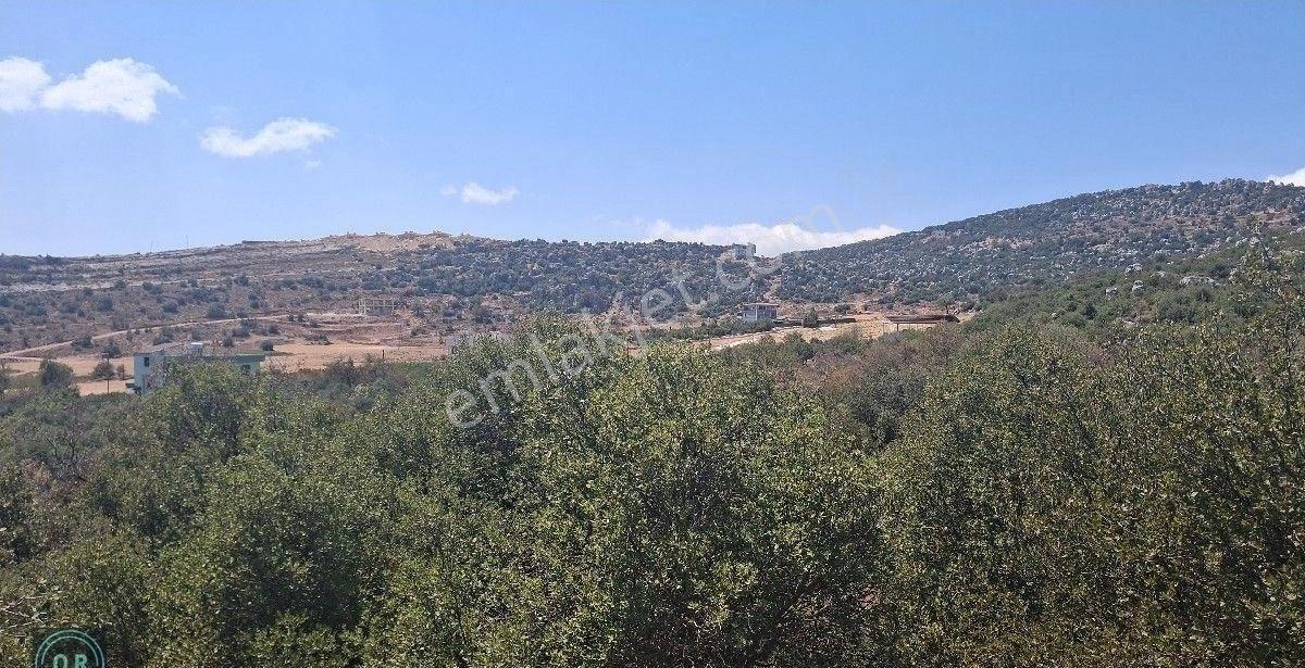 Yunushan Gelinler Dağı Nekropolü'ne 500 Metre Mesafede 19,5 Dönüm Arazi Yatırımlık Satılık - Görsel 2