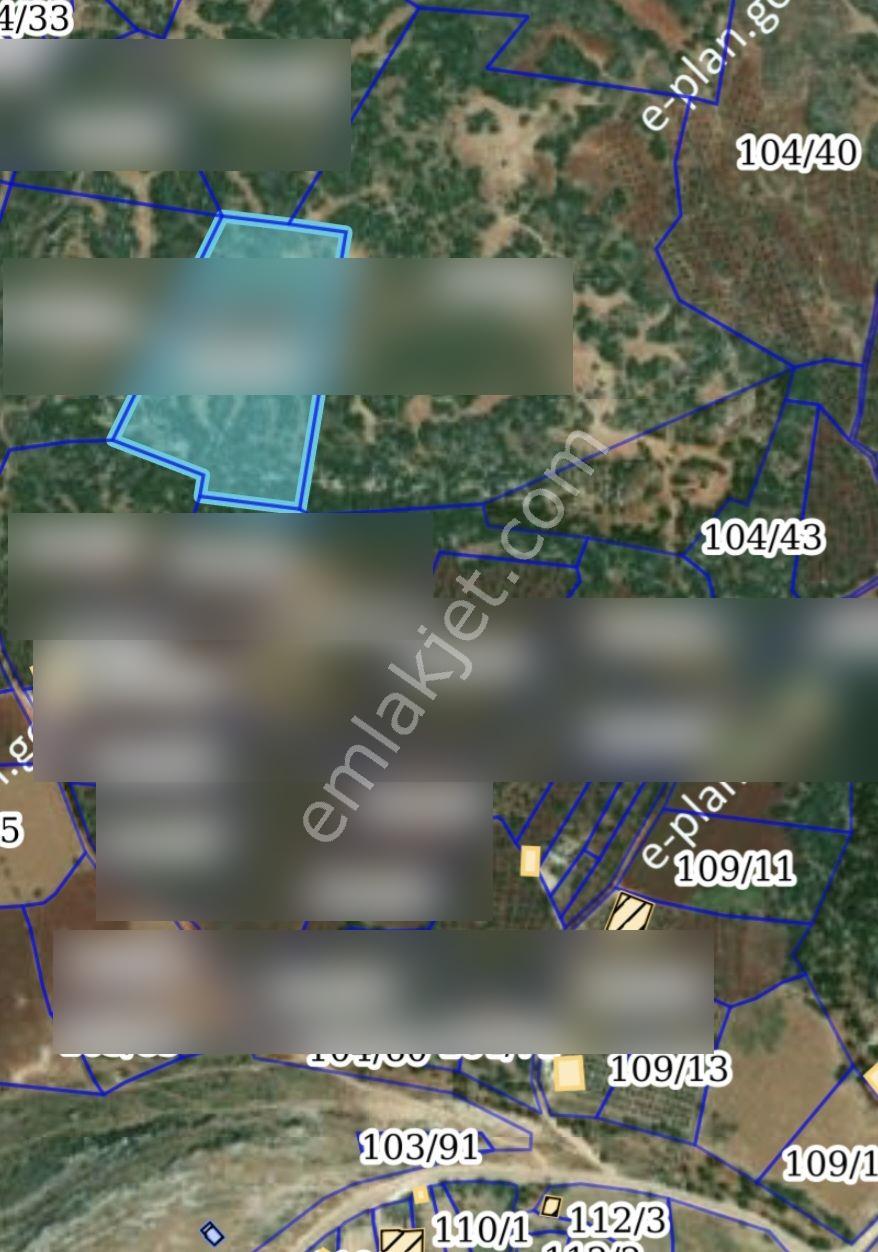 Yunushan Gelinler Dağı Nekropolü'ne 500 Metre Mesafede 19,5 Dönüm Arazi Yatırımlık Satılık - Görsel 7