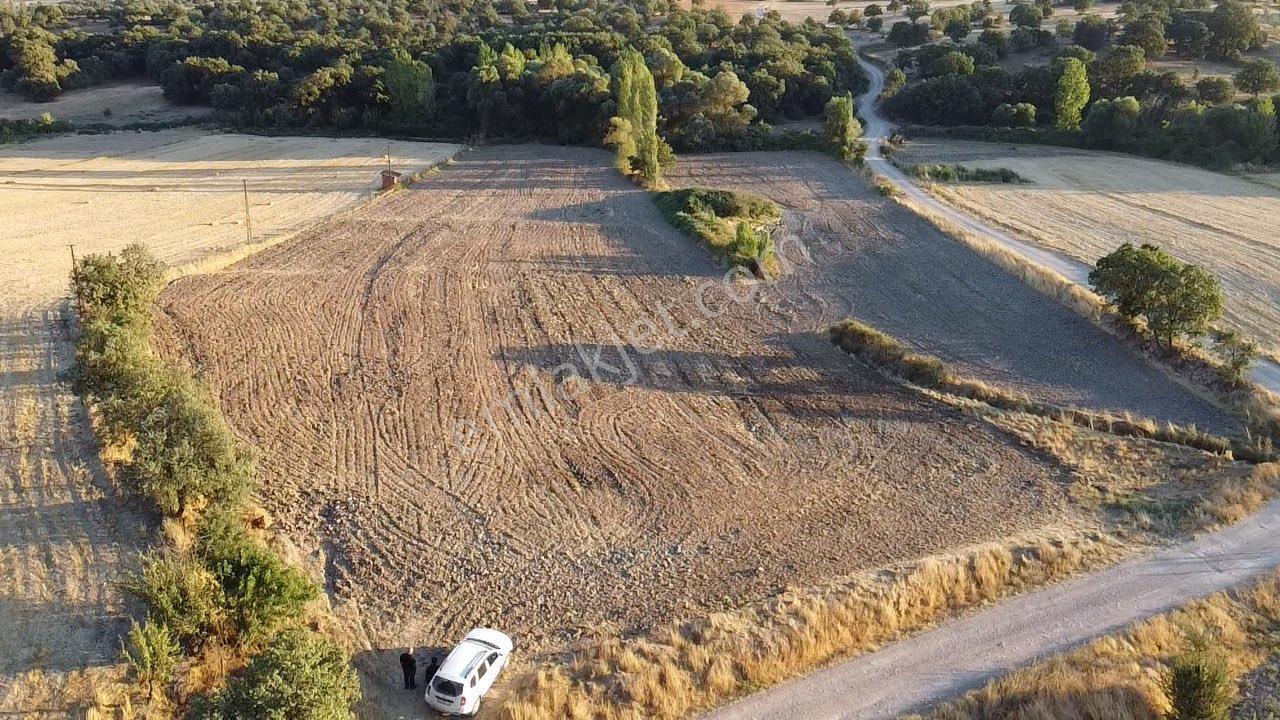 Sındırgıda Satılık Tavuk Çiftliği Kurulumuna Uygundur 13.000 M2 - Görsel 7