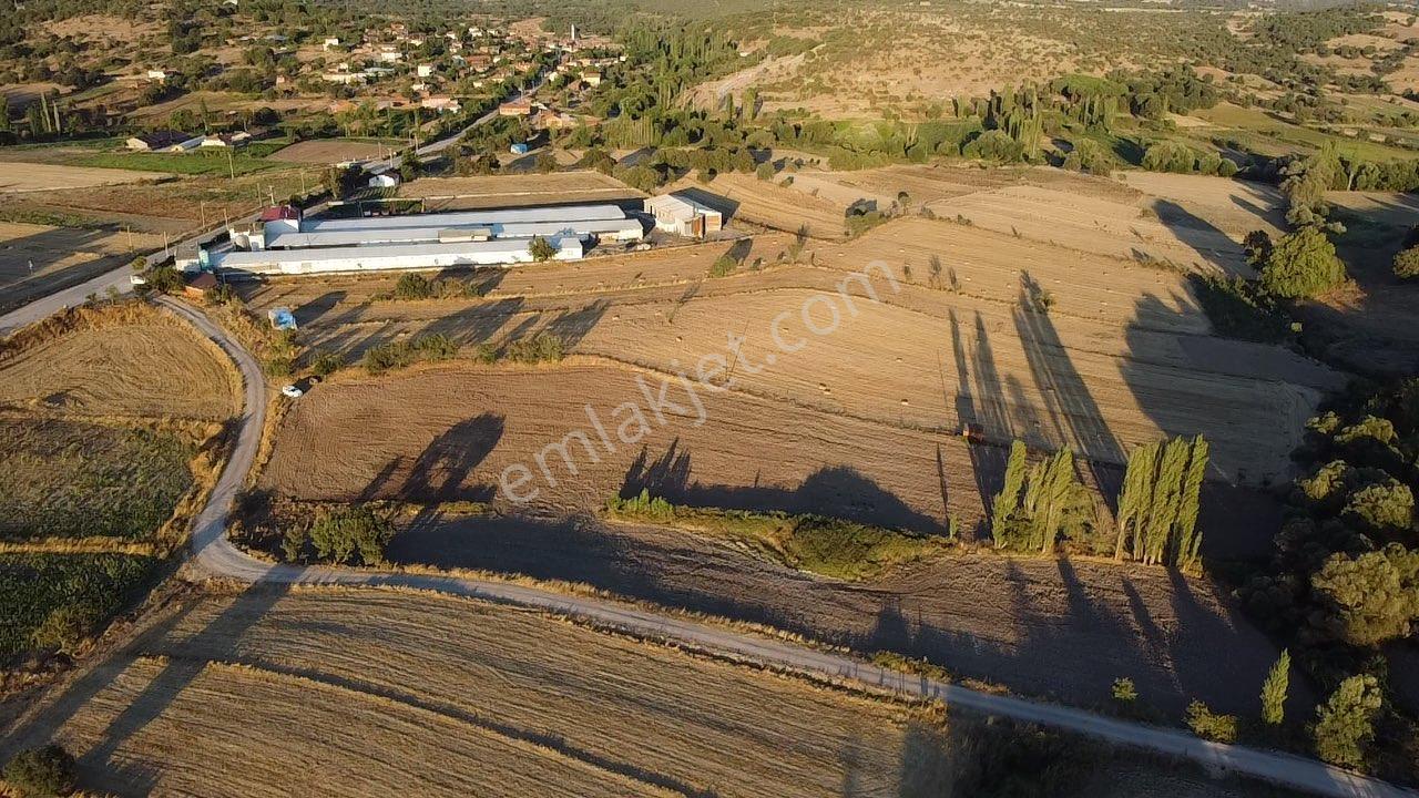 Sındırgıda Satılık Tavuk Çiftliği Kurulumuna Uygundur 13.000 M2 - Görsel 12
