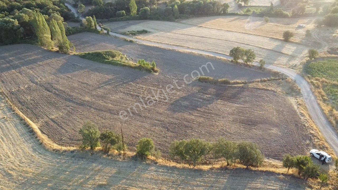 Sındırgıda Satılık Tavuk Çiftliği Kurulumuna Uygundur 13.000 M2 - Görsel 9