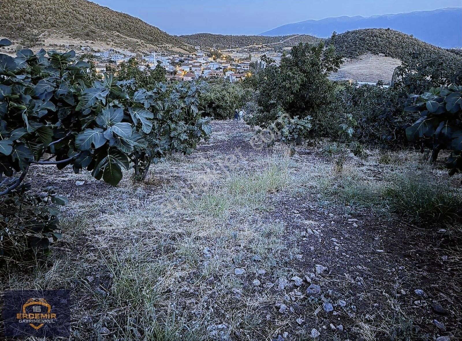 Bursa Osmangazi Avdancık Köyü'nde Satılık Tarla - Görsel 10