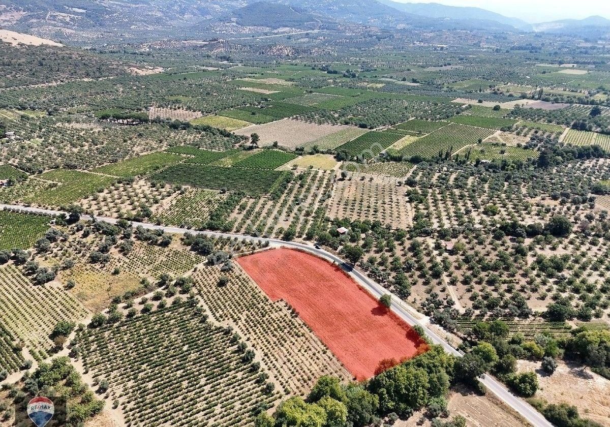 Çınarköyde 160 Metre Kadastral Yola Cepheli Fırsat Bahçe - Görsel 2