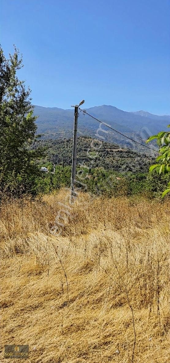 Cevizin Başkenti Konurlarda Suyu Yolu Olanköy Dibi Satılık Tarla - Görsel 7