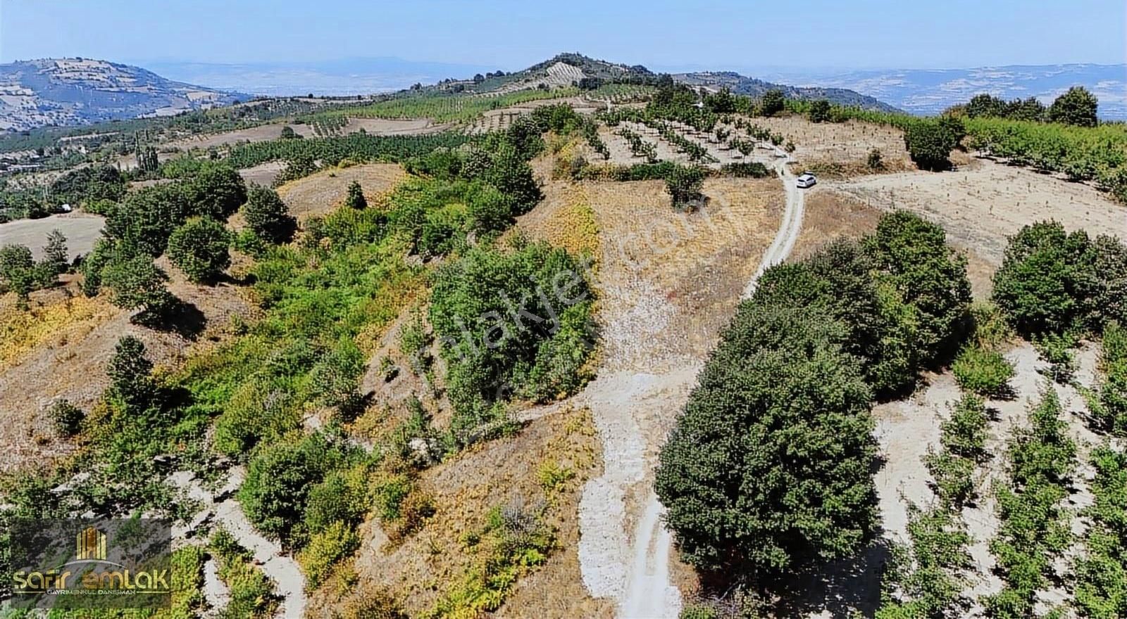 Cevizin Başkenti Konurlarda Suyu Yolu Olan Satılık Fırsat Tarla - Görsel 12