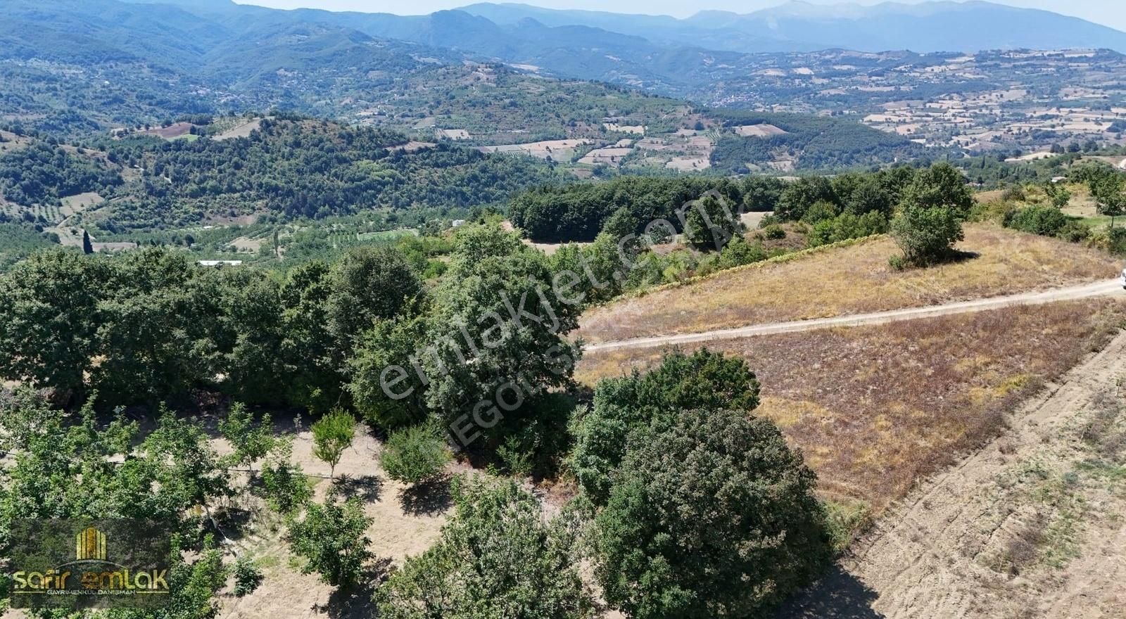 Cevizin Başkenti Konurlarda Suyu Yolu Olan Satılık Fırsat Tarla - Görsel 15