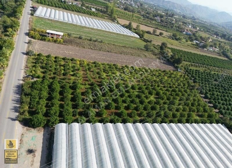 Ortaca Dikmekavak Mahallesinde Satılık Tarla