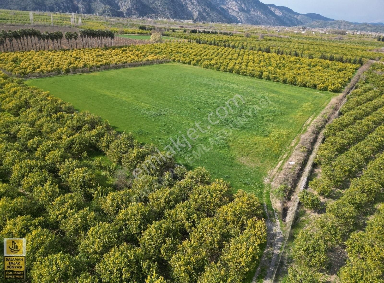 Ortaca Güzelyurt Mahallesinde Satılık Hisseli Tarla