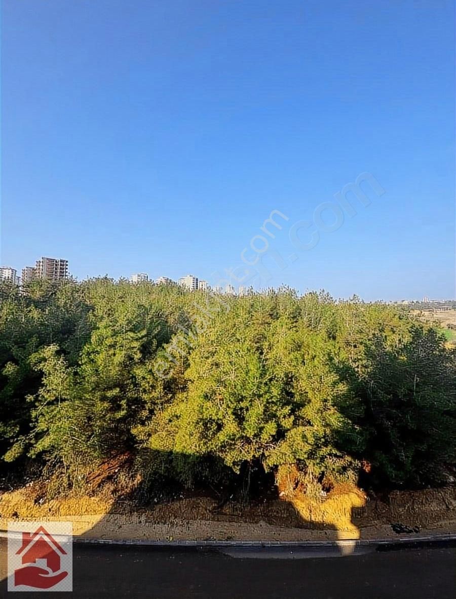 Gültepede Ana Cadde Üzeri 1+1 Boş Ankastreli Kiralık İskânlı Dai - Görsel 11