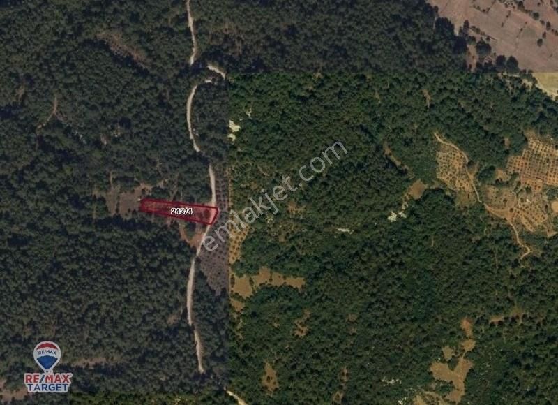 Muğla Menteşe Yenice'de Satılık Tarla