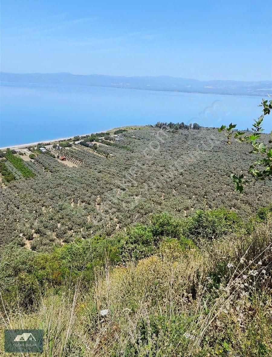 Aydınlar Full Göl Manzaralı - Görsel 2