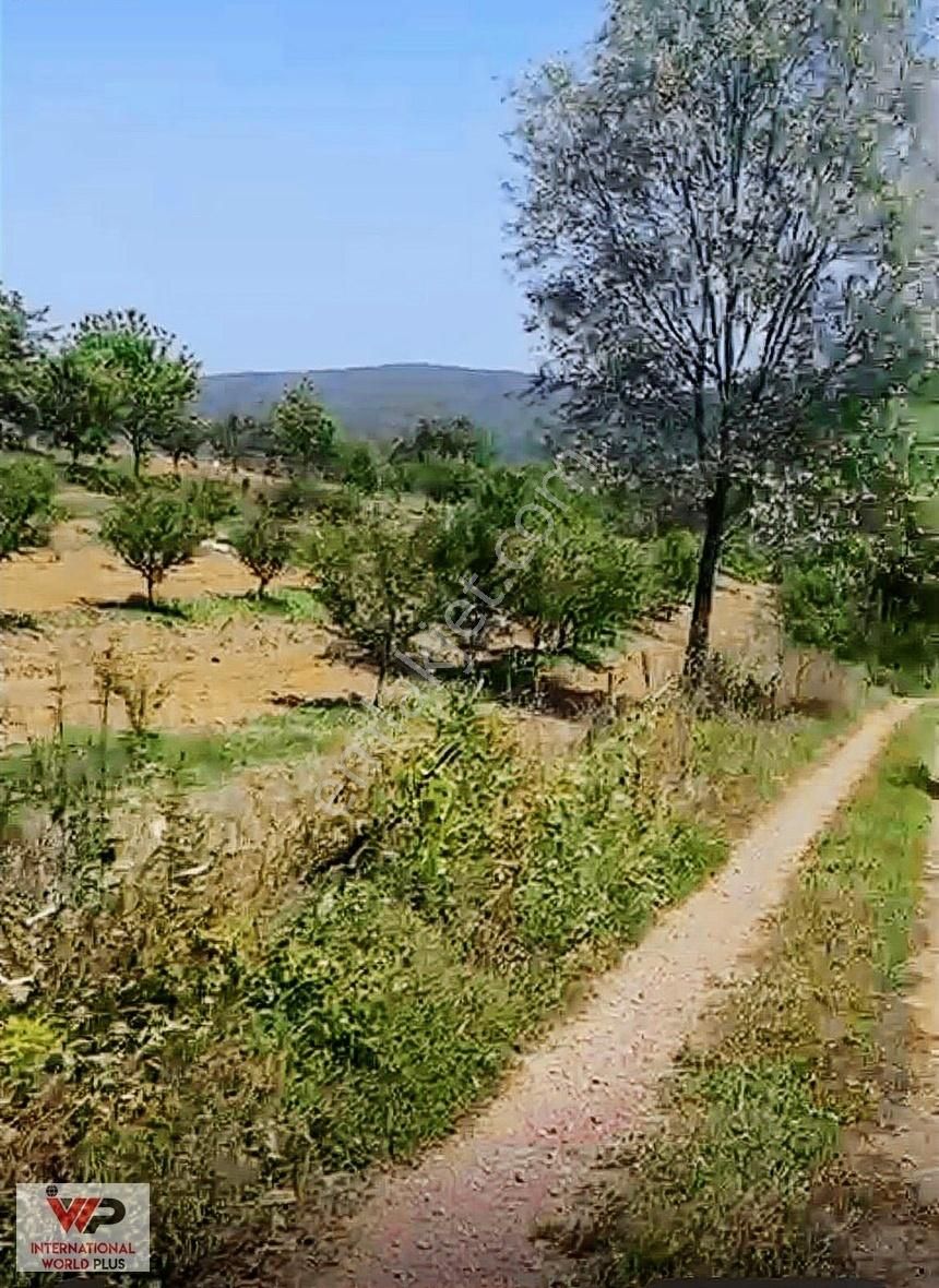 Kartepe Avluburun Satılık Tarla