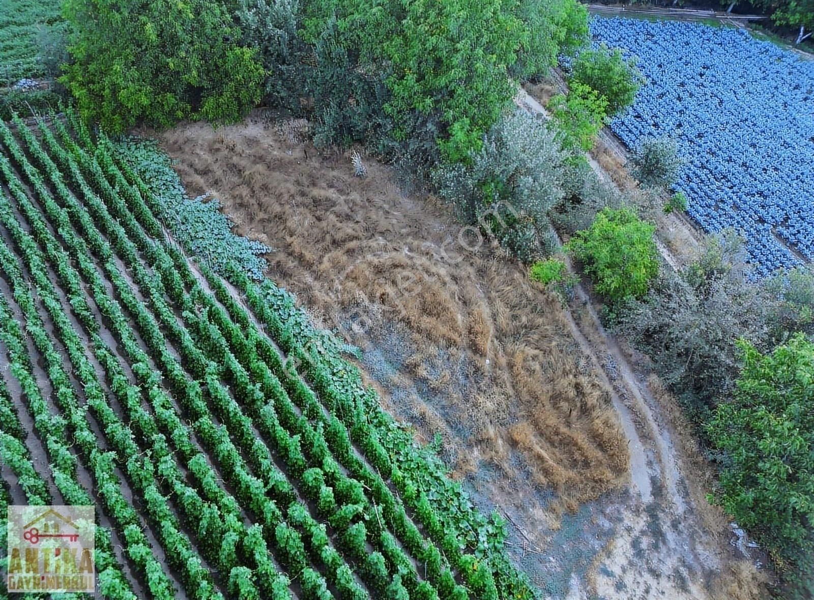 Antika Gayrimenkulden Bozdağ Ovacık Mah. İmarlı 523 M² Arsa - Görsel 2