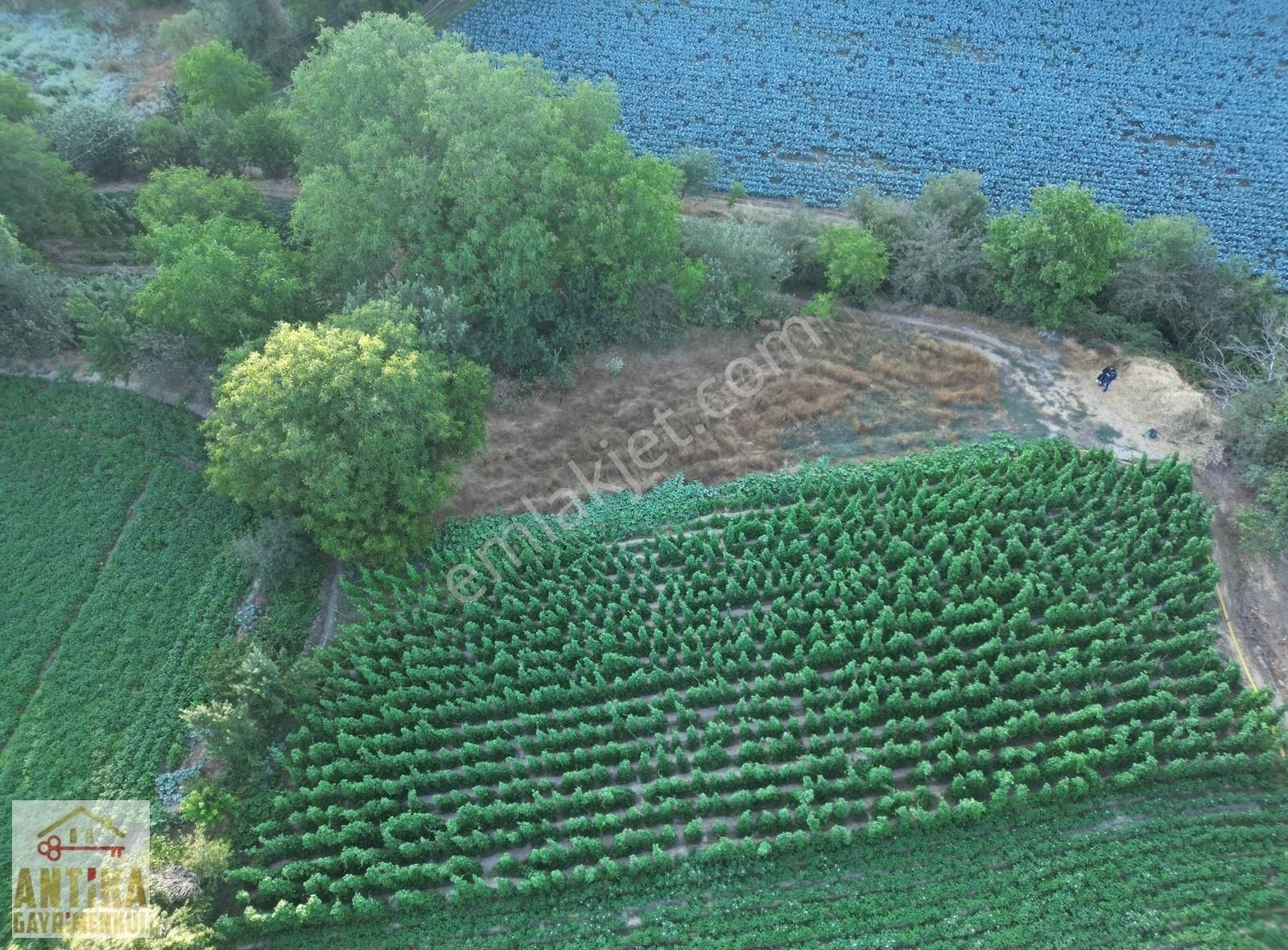 Antika Gayrimenkulden Bozdağ Ovacık Mah. İmarlı 523 M² Arsa - Görsel 29