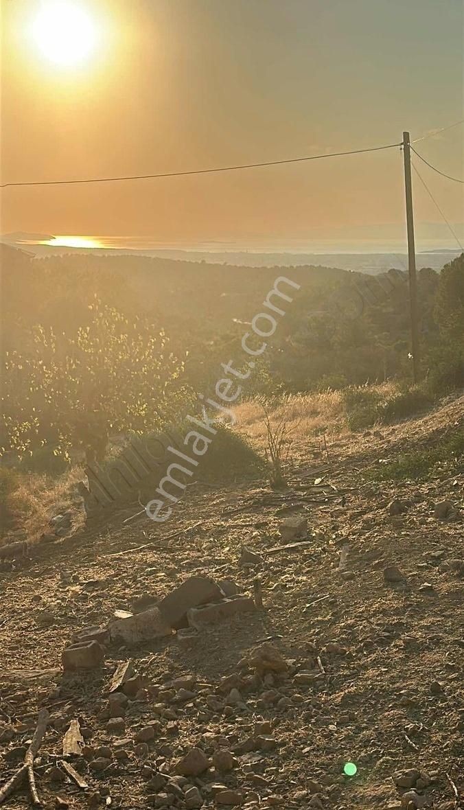 Köy Emlak'tan Satılık Tarla - Görsel 7