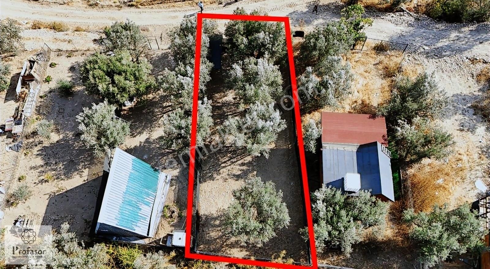 Profasor Dan Demirtaş/ismetiye Mah. 216 M2 - Görsel 13