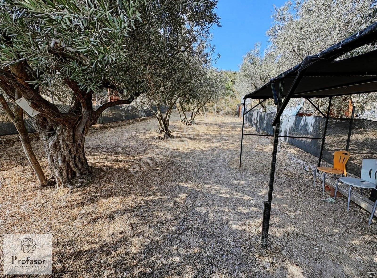 Profasor Dan Demirtaş/ismetiye Mah. 216 M2