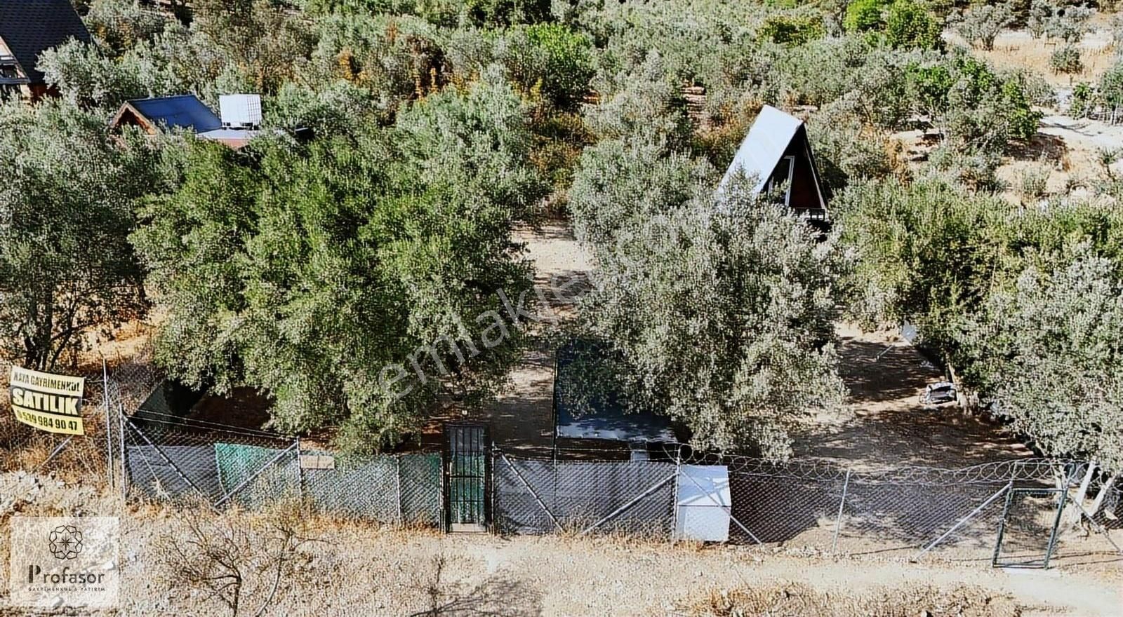 Profasor Dan Demirtaş/ismetiye Mah. 216 M2 - Görsel 9