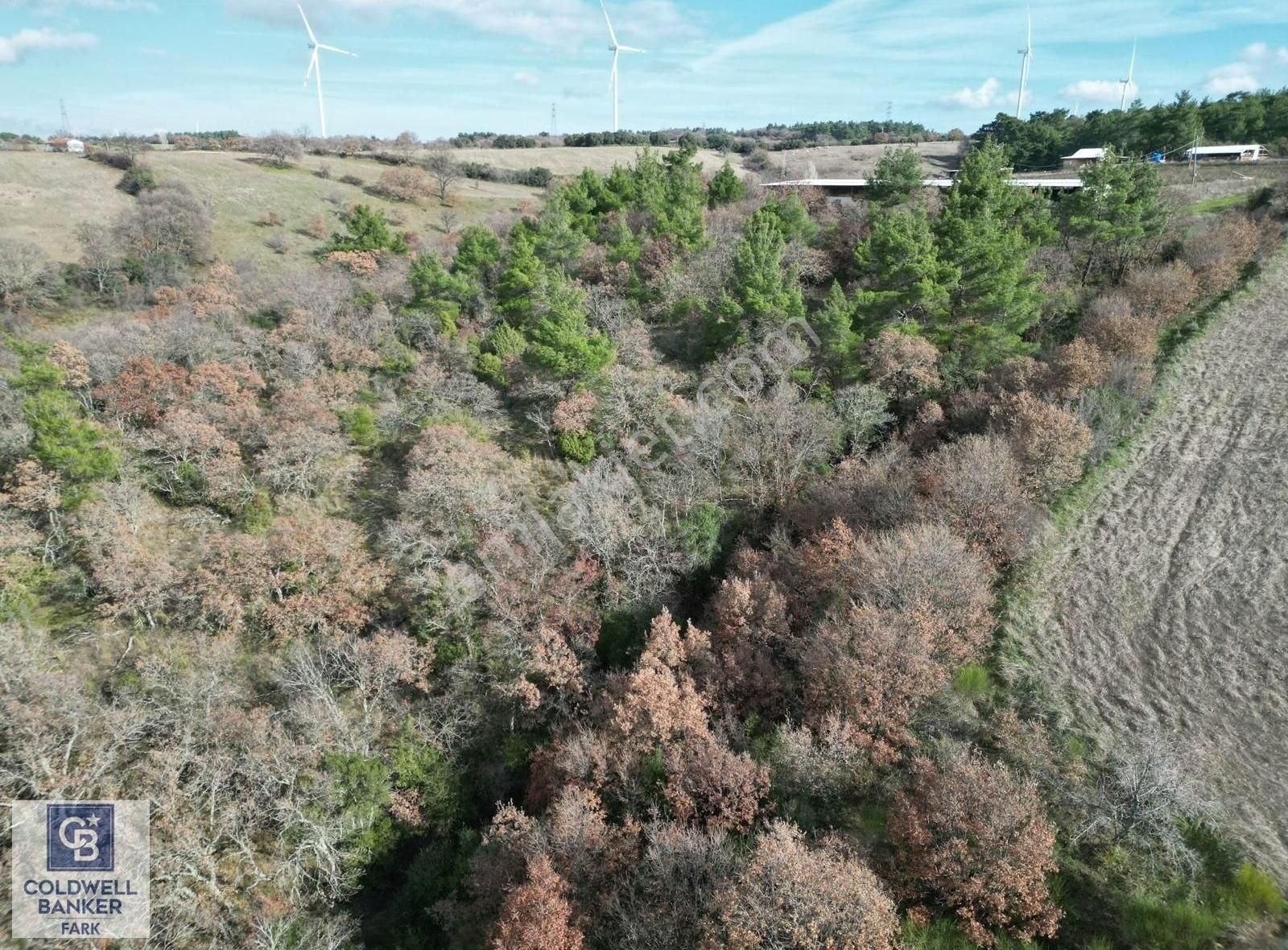 Bayrami Bıyıklı'da 10.600 M² Yatırımlık Arazi - Görsel 4