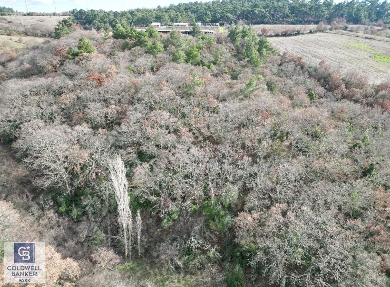 Bayrami Bıyıklı'da 10.600 M² Yatırımlık Arazi - Görsel 2