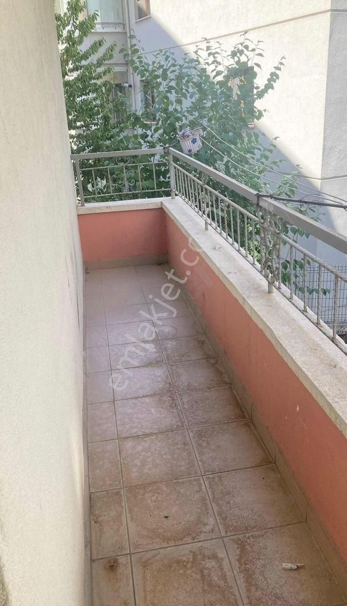 Bakımlı Geniş 3+1