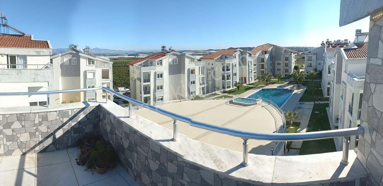 Serap Kiraz Gayrimenkul - Görsel 4