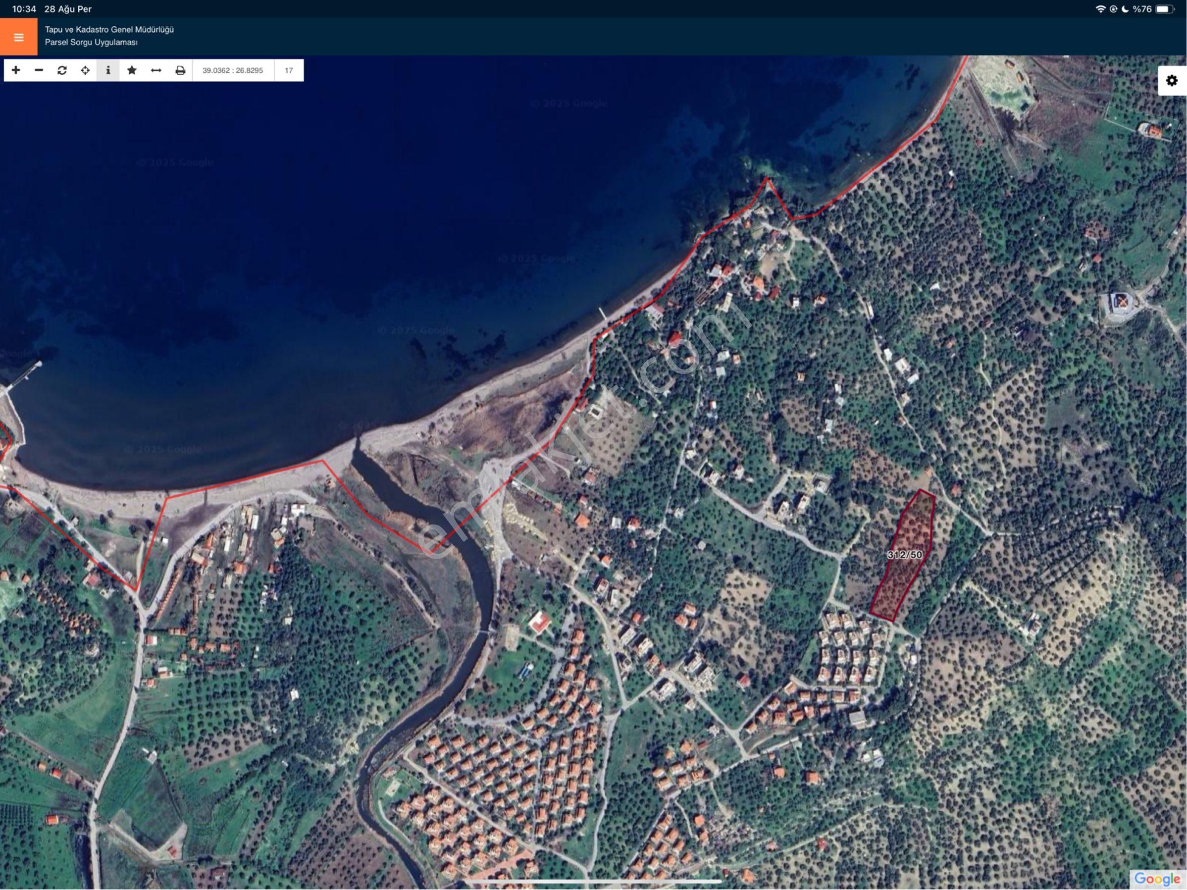 Merkez'den Dikili Bademli’de 5.776,11 M² Yatırımlık Zeytinlik / İmara Sınır - Görsel 2